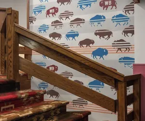 Photo 4 - Wandering Buffalo