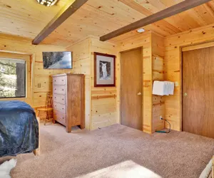 Photo 3 - Big Cub Cabin #2521