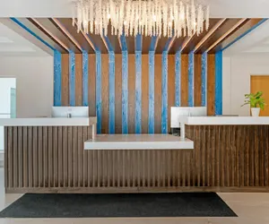 Photo 3 - The J Hotel Dunedin Clearwater, an Ascend Collection Hotel