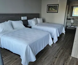 Photo 3 - Quality Inn & Suites Ocala I-75 North