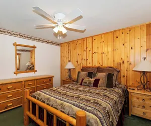Photo 3 - Teakwood Cozy Wood Cabin with Fireplace