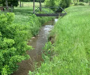 Photo 5 - 3BR 2bath Gorgeous Country Near Nashville F1