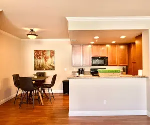 Photo 2 - New Stylish 1BR Apt With Heated Pool Gym Yoga Studio