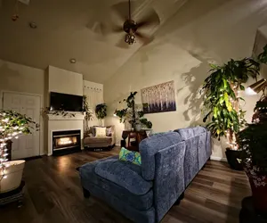 Photo 4 - Casa de gato