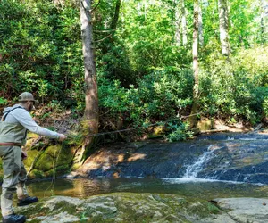 Photo 5 - Tuxedo Falls