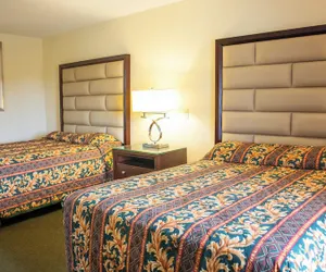 Photo 2 - Executive Inn