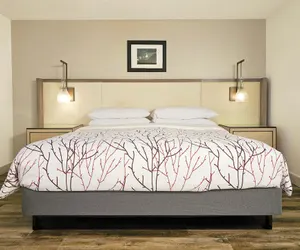 Photo 2 - Talley Ho Inn