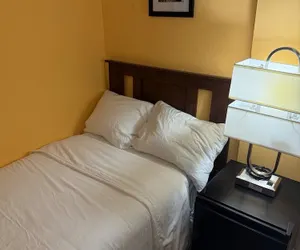 Photo 4 - Buffalo Guesthouse