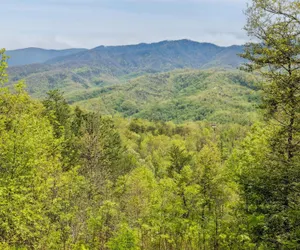 Photo 3 - Amazing Views Hot Tub Game Room Pool