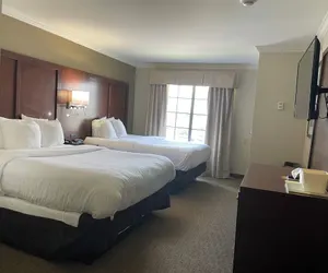 Photo 5 - Forestpark Suites