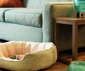 Photo 4 - Home2 Suites By Hilton Ashburn, Va