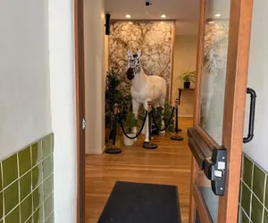 Photo 3 - Unicorn Zebra