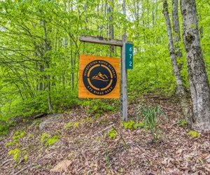 Photo 2 - Modern Mountain Retreat Near Dolly Sods & Skiing 3 Bedroom Home