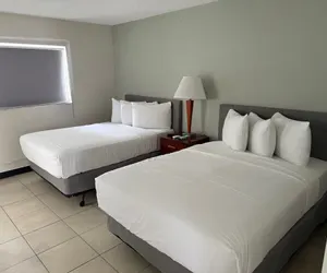 Photo 5 - Clearwater Suites
