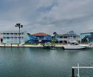 Photo 2 - Dolphin Paradise