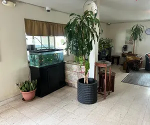 Photo 2 - Palm Inn Motel - Rosemead Los Angeles