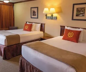 Photo 4 - Westgate wild Bear Inn