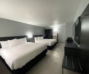 Photo 2 - Super 8 By Wyndham Texas City