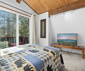 Photo 2 - Bear PAC Hideout