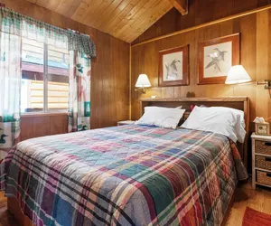 Photo 2 - Sugar Pine