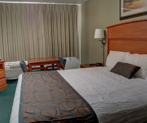 Photo 5 - The Palms Motel