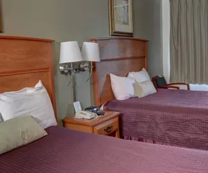 Photo 3 - The Palms Motel