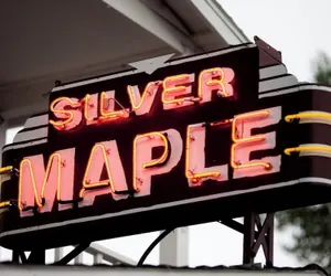 Photo 2 - Silver Maple Inn