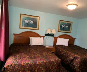 Photo 3 - Travel Inn of Daytona
