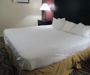 Photo 3 - Relax Inn