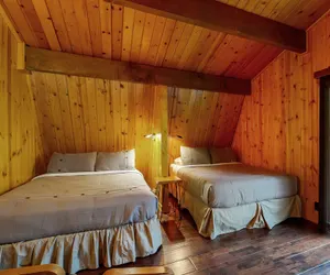 Photo 4 - Primrose Cabin #709