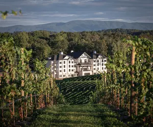 Photo 2 - Nicewonder Farm & Vineyard