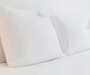 Photo 2 - Wingate By Wyndham Jackson