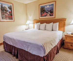 Photo 5 - The Grand Lodge by Traverse Hospitality