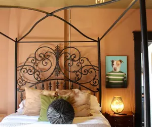Photo 4 - Casa Mina 5 Central Rio Grande Historic Dist