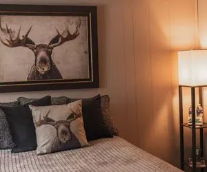 Photo 2 - Moose Room Rustic Colorado Lodge Escape
