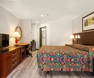 Photo 5 - Paradise Lodge - Canoga Park