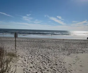 Photo 5 - New Listing Lux Beach House Dog Friendly