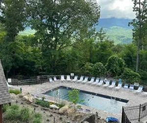 Photo 5 - Lux Cabin Mtn Views Flat Parking Dog Friendly