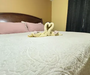 Photo 4 - The Poolside Escape Near Beaches