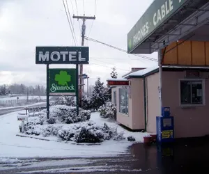 Photo 4 - Shamrock Motel