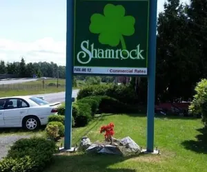 Photo 5 - Shamrock Motel