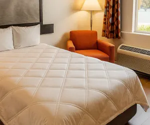 Photo 3 - MHO Hotel Dover