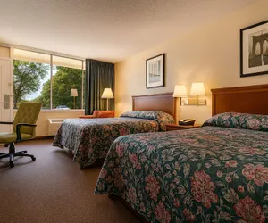 Photo 2 - MHO Hotel Dover