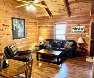 Photo 2 - Beary Cuddly