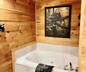 Photo 4 - Beary Cuddly