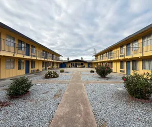 Photo 2 - Royal plams