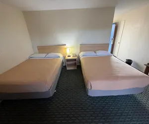 Photo 5 - Royal plams