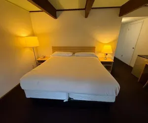 Photo 4 - Royal plams