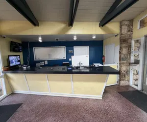 Photo 3 - Royal plams