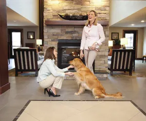 Photo 4 - Staybridge Suites Irving Las Colinas by IHG